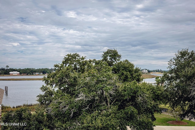 property view of water