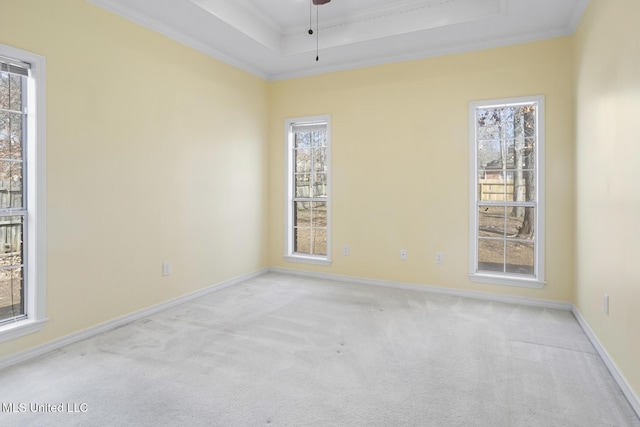 carpeted spare room with a raised ceiling, crown molding, and plenty of natural light