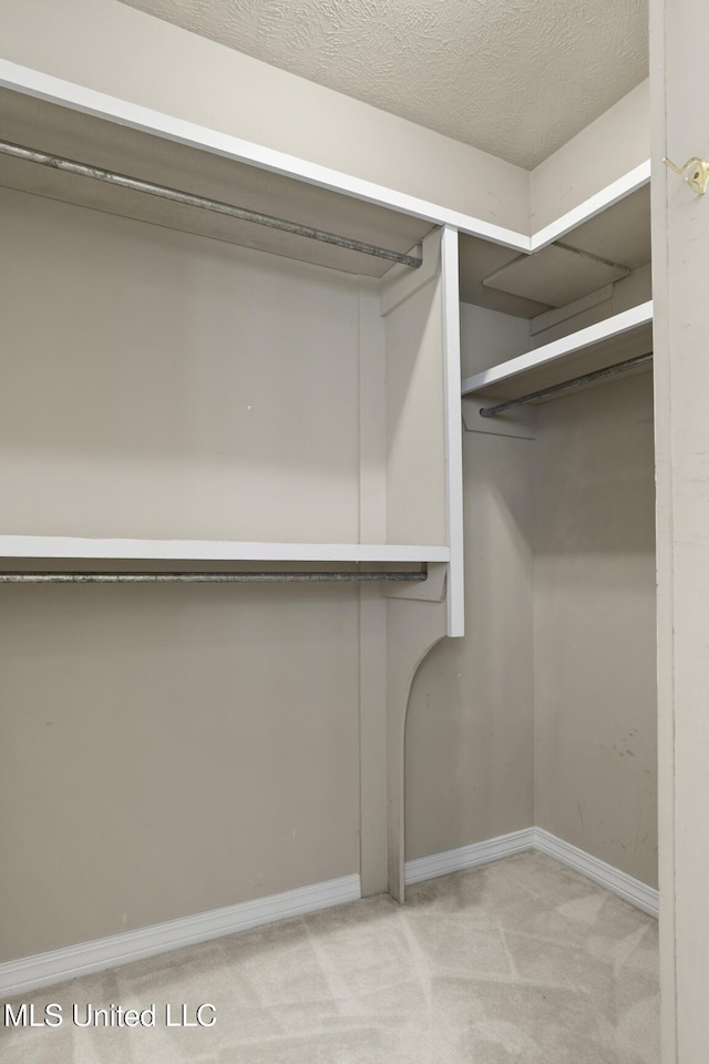 spacious closet with light carpet