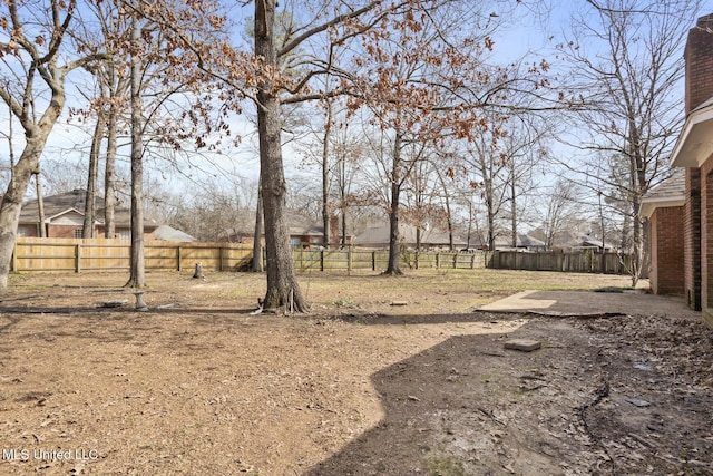 view of yard featuring a patio area