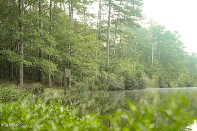 250 Rockwood Rd, Florence, MS 39073