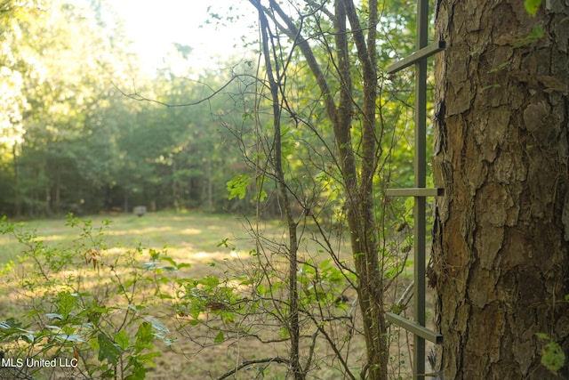 250 Rockwood Rd, Florence, MS 39073