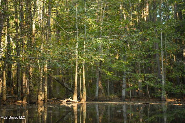 250 Rockwood Rd, Florence, MS 39073