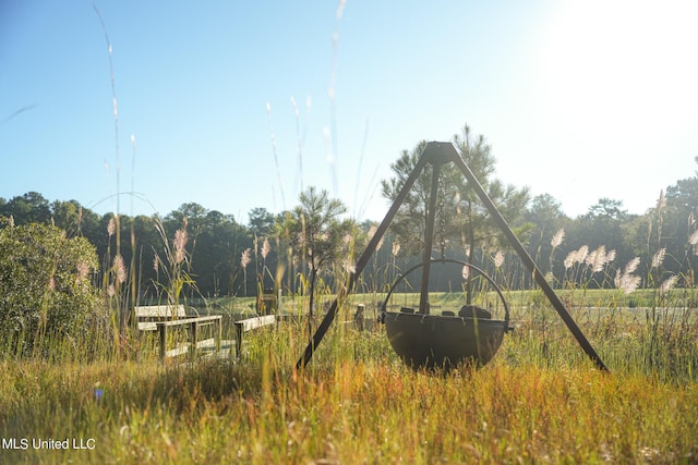 250 Rockwood Rd, Florence, MS 39073