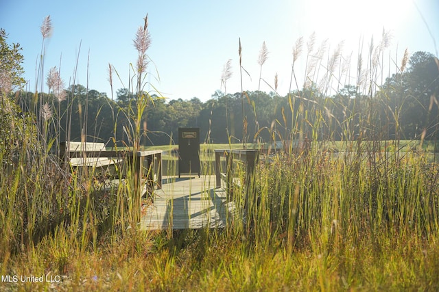 250 Rockwood Rd, Florence, MS 39073