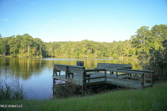 250 Rockwood Rd, Florence, MS 39073