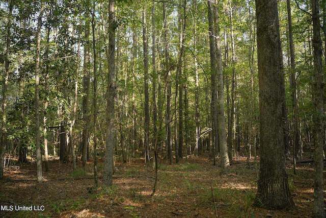 250 Rockwood Rd, Florence, MS 39073