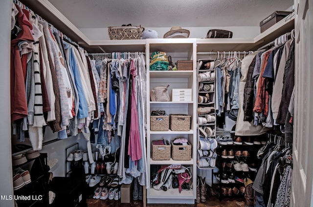 862 Willow Grande Cir, Brandon, MS 39047 - view of spacious closet