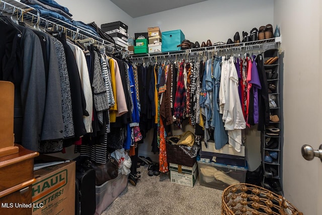 walk in closet featuring carpet flooring