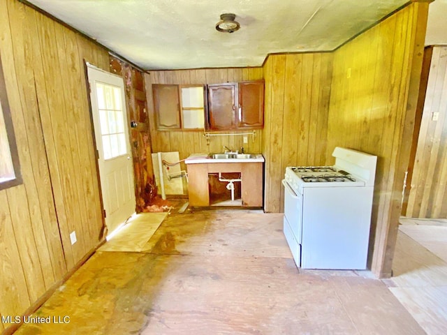laundry area with a sink and wooden walls