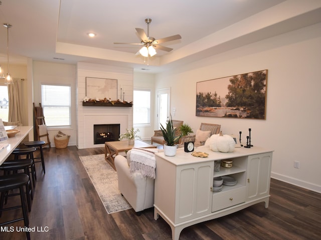 living room featuring dark hardwood / wood-style floors, a fireplace, and a raised ceiling