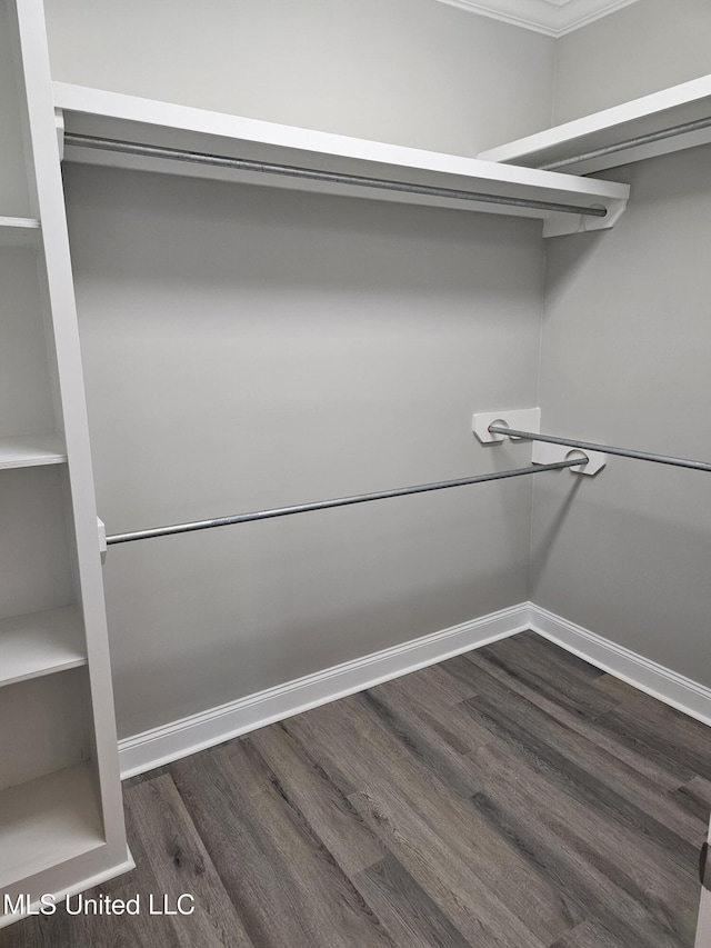 spacious closet with dark wood-type flooring