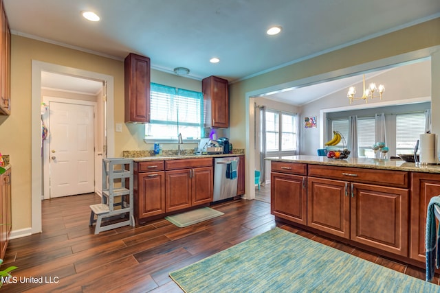 kitchen with a chandelier, stainless steel dishwasher, dark wood-type flooring, and light stone counters