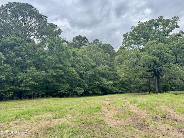 493 Gus Green Rd, Flora, MS 39071