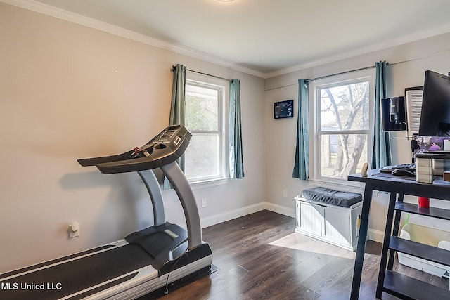 workout area with dark wood-type flooring, crown molding, and plenty of natural light