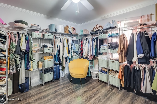 spacious closet with ceiling fan and hardwood / wood-style flooring