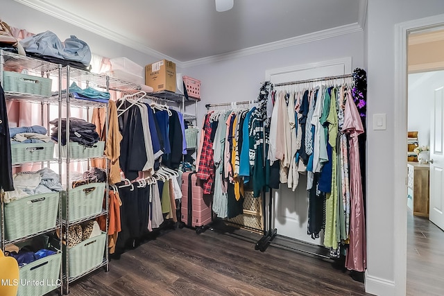 spacious closet with dark wood-type flooring