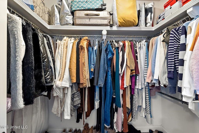 142 Western Ridge Cir, Canton, MS 39046 - view of walk in closet