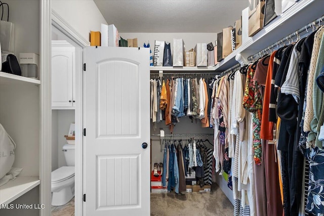142 Western Ridge Cir, Canton, MS 39046 - spacious closet with carpet flooring