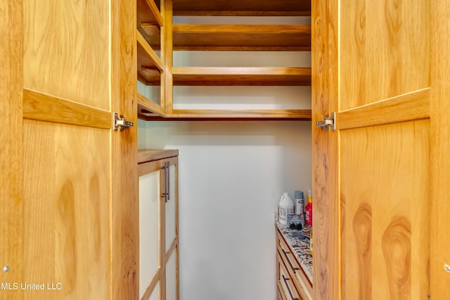 106 Horseshoe Ln, Flora, MS 39071 - view of closet