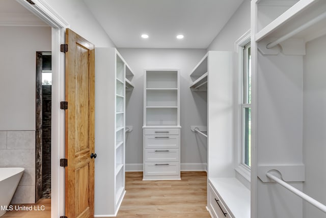 106 Horseshoe Ln, Flora, MS 39071 - walk in closet with light wood-style flooring