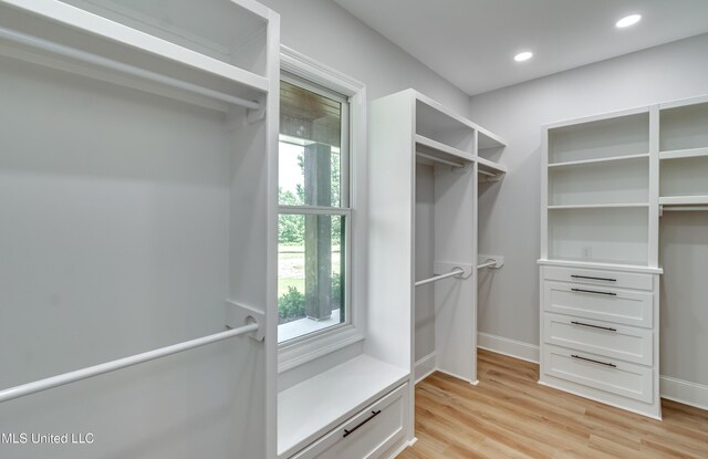 106 Horseshoe Ln, Flora, MS 39071 - walk in closet with light wood-type flooring