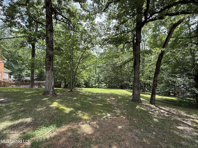 1331 Northwood Cir, Carthage, MS 39051 - view of yard
