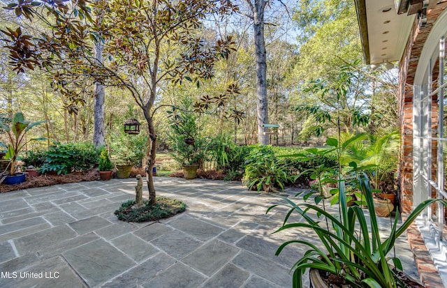 338 Hillview Dr, Ridgeland, MS 39157 - view of patio / terrace