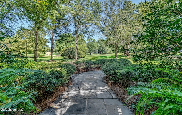 338 Hillview Dr, Ridgeland, MS 39157 - view of yard