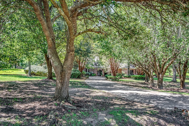 338 Hillview Dr, Ridgeland, MS 39157 - exterior space