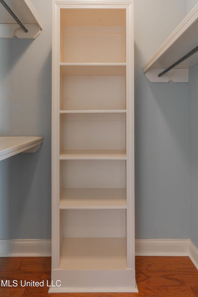 spacious closet with hardwood / wood-style flooring