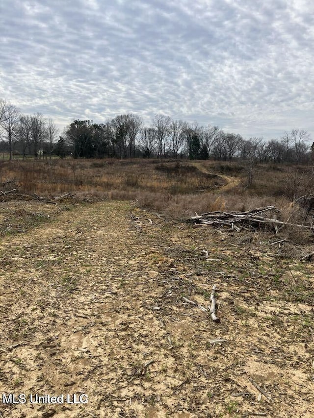 LOT4 Cypress Corner Rd, Sarah, MS 38665