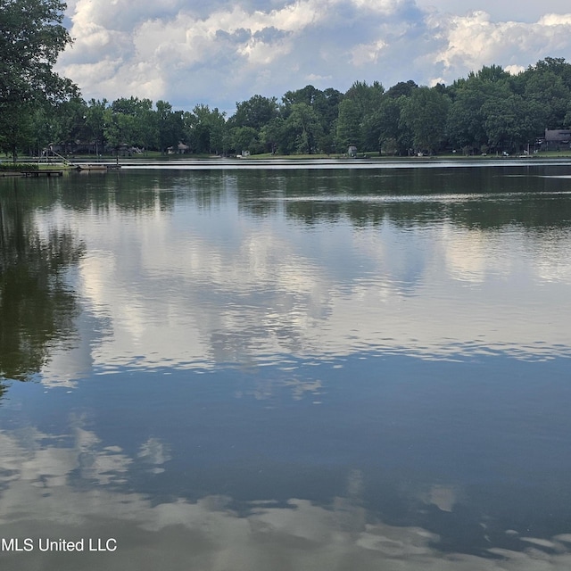 water view featuring a heavily wooded area