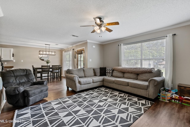 living room featuring wood finished floors, healthy amount of natural light, ceiling fan, a textured ceiling, and a chandelier
