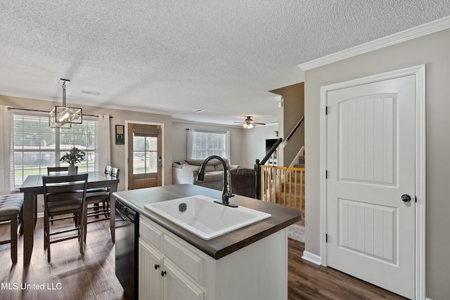 kitchen with a sink, black dishwasher, a textured ceiling, dark wood-style floors, and dark countertops