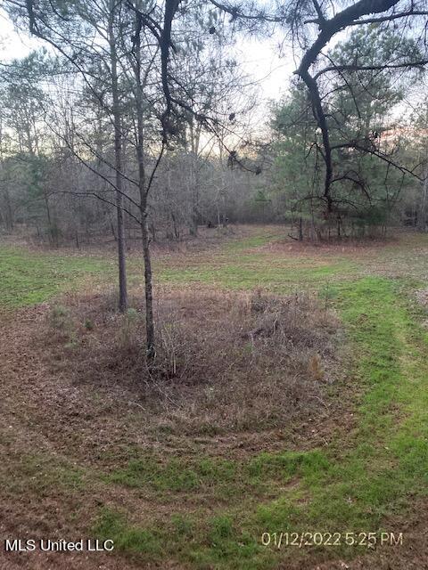 Listing photo 2 for 0000 W Adams Station Rd, Edwards MS 39066