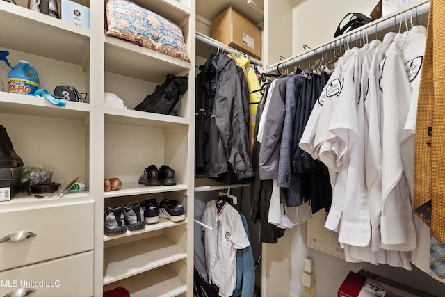 4788 Bon Jour Ln, Nesbit, MS 38651 - view of walk in closet