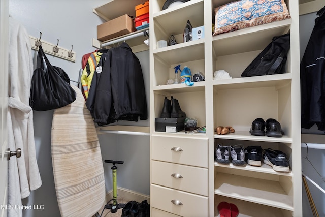 4788 Bon Jour Ln, Nesbit, MS 38651 - view of spacious closet