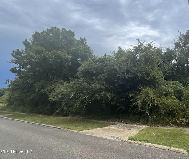 Holiday Ave, Pass Christian MS, 39571 land for sale