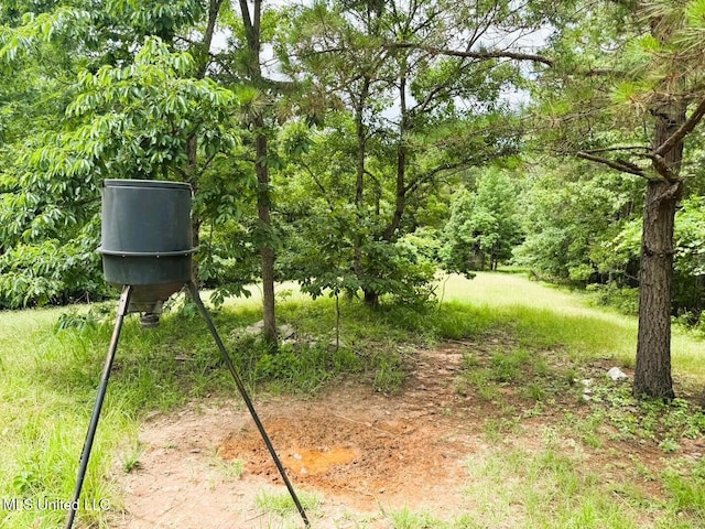TBD Pepper Town Rd, Eupora, MS 39744