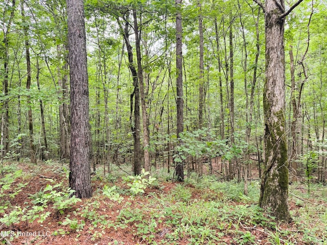 TBD Pepper Town Rd, Eupora, MS 39744