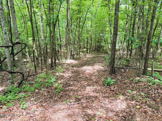 TBD Pepper Town Rd, Eupora, MS 39744