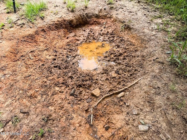 TBD Pepper Town Rd, Eupora, MS 39744