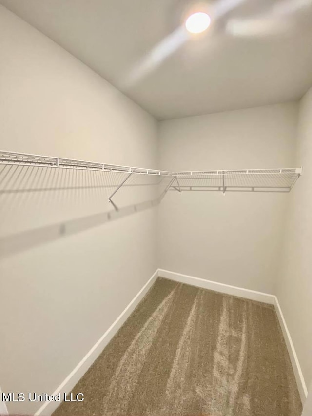 spacious closet with carpet flooring