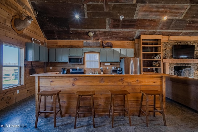 kitchen featuring wooden walls, a sink, and stainless steel appliances