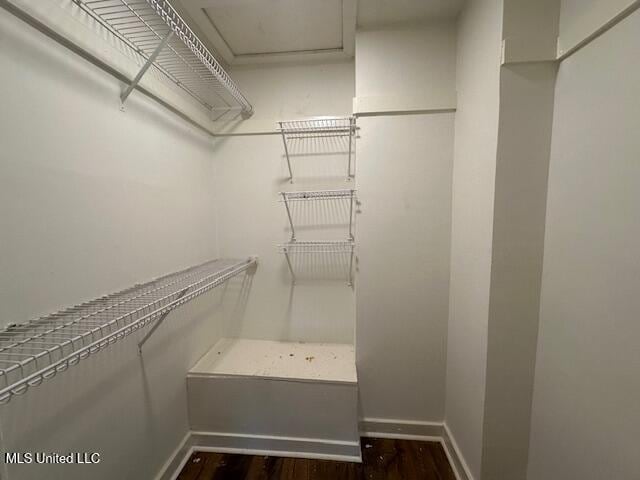 walk in closet featuring dark wood-type flooring