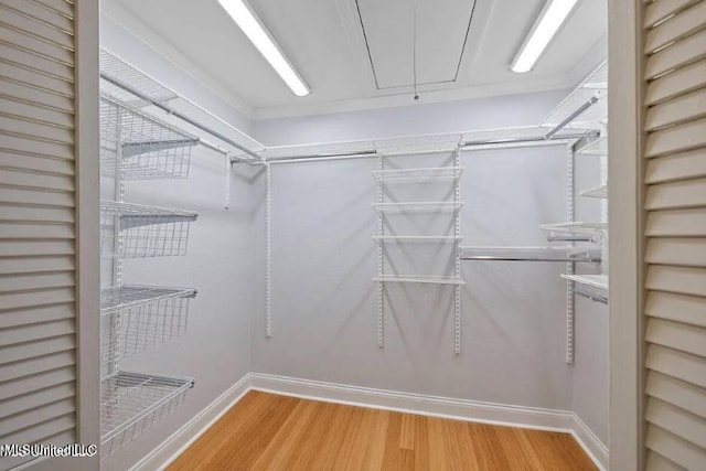 walk in closet featuring wood-type flooring