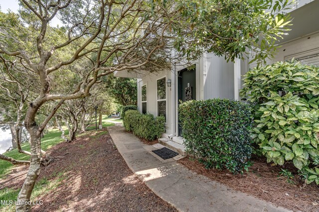 550 Post Rd Unit 116, Ridgeland, MS 39157 - view of yard