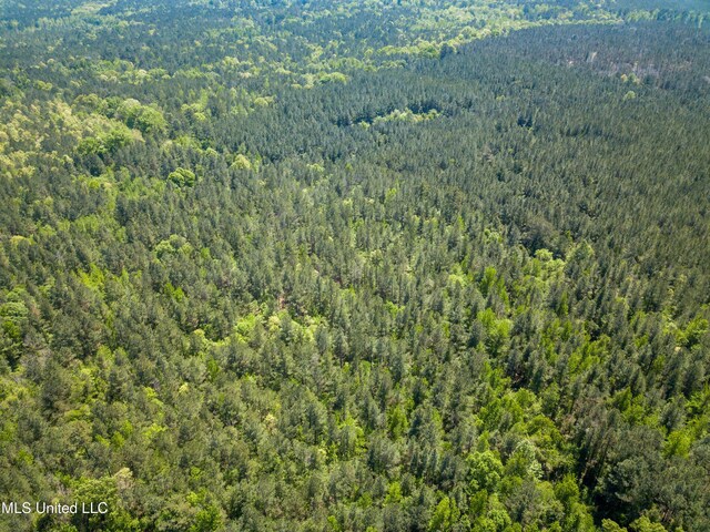 Honeysucker Rd, Camden, MS 39045