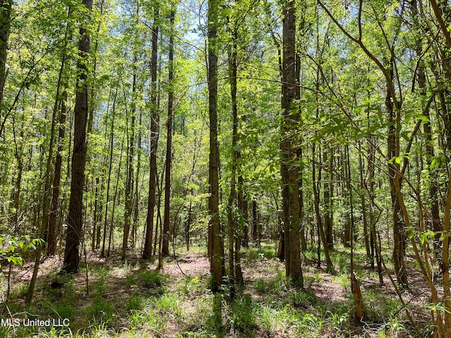 Honeysucker Rd, Camden, MS 39045